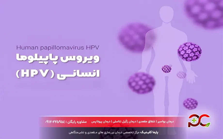 ویروس HPV چیست؟