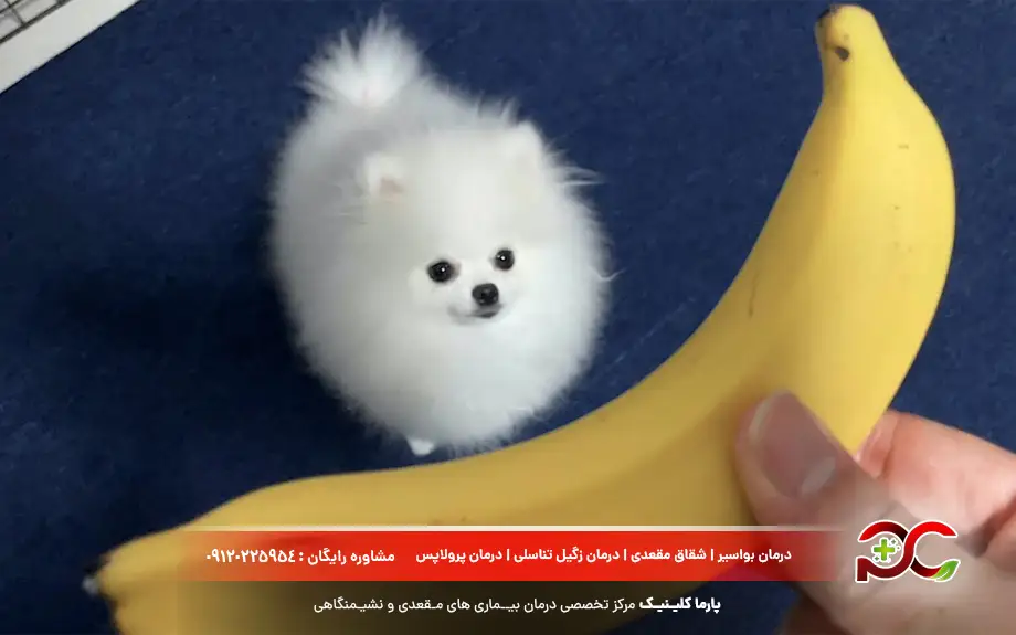 برای درمان فوری اسهال چی بخوریم