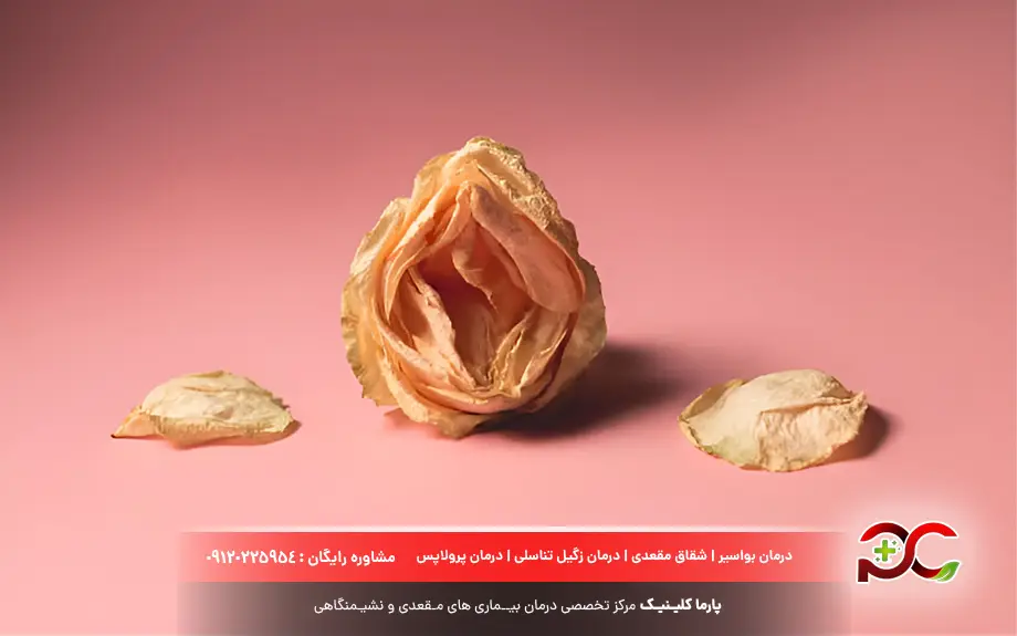 خشکی واژن چیست؟