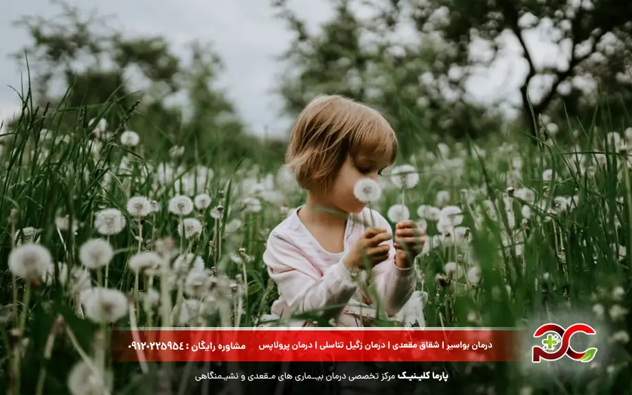 درمان زگیل با قاصدک