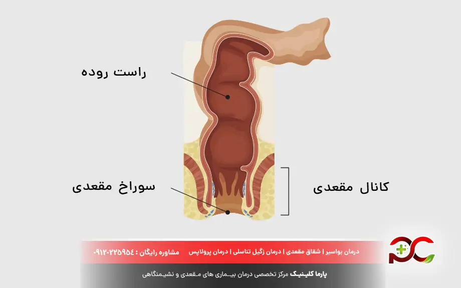 ساختار مقعد 