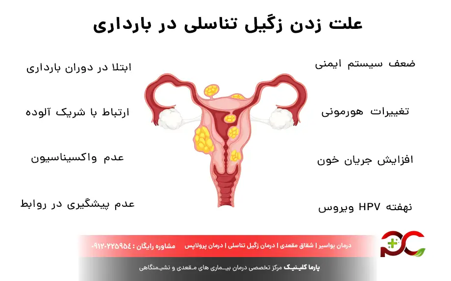 آیا بعد از درمان زگیل تناسلی میتوان باردار شد؟