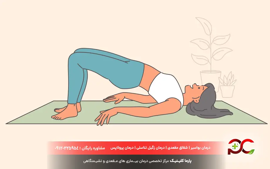 تفاوت سیستوسل و رکتوسل چیست؟