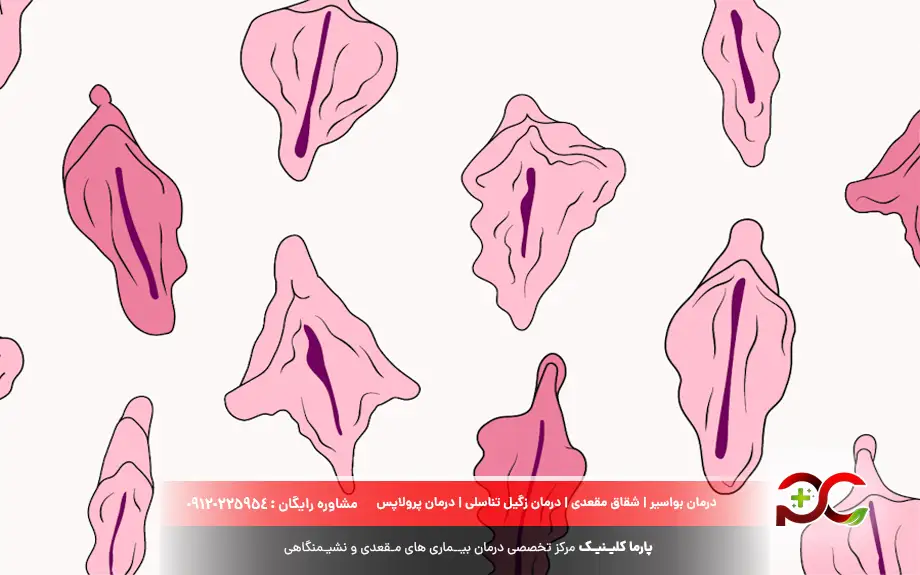 عکس واژن زنان